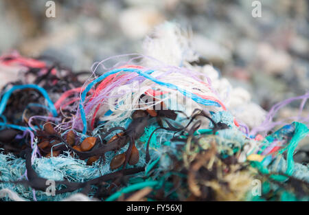 Colourful twisted rope, fishing line, plastic, string and seaweed found on Traeth Penllech Beach at the high tide mark Stock Photo