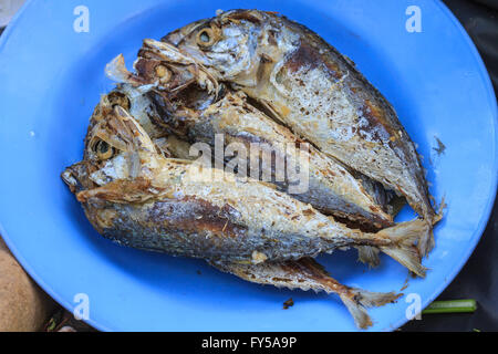 Fried Mackerels on a plate, cooking in the Thai kitchen Stock Photo