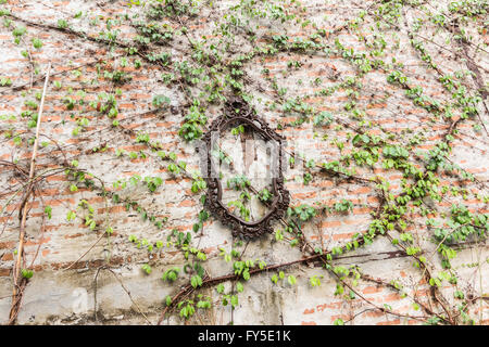 frame and ivy leaves on wall Stock Photo