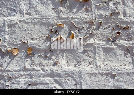 Weathered  eroded  peeling  grey painted  cement rendered  clay brick wall   exposed to the elements of wind and rain  is grungy Stock Photo