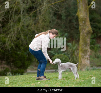 person feeding a dog in the park Stock Photo
