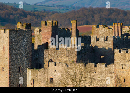 Evening sunlight highlights the stone work of Ludlow Castle, Shropshire, England, UK. Stock Photo