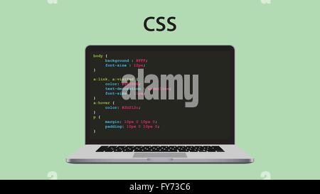 css cascading style sheet programming with laptop and script code Stock Vector