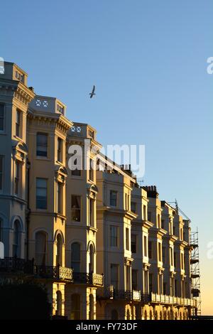 Terraced houses in the late afternoon sun in the coastal town of Brighton UK Stock Photo