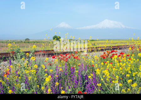 Eurasia, Caucasus region, Armenia, Mount Ararat (5137m) highest mountain in Turkey photographed from Armenia Stock Photo