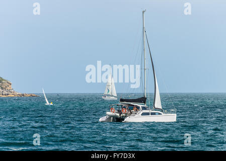 High adrenaline cruise by catamaran around one of the prettiest natural harbours in the world Stock Photo