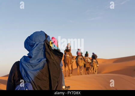 Camel trip in the evening with several people photographed from behind in the Erg Chebbi desert near Merzouga in Morocco.