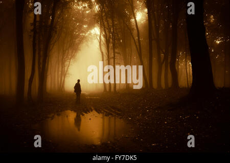 sunset light in dark foggy forest with man silhouette reflecting in water Stock Photo