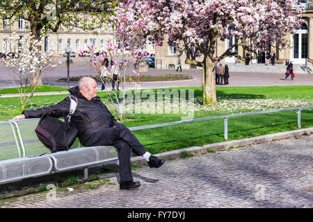 Elderly man sits on bench and enjoys flowering magnolia trees in Spring, Schlossplatz, Stuttgart, Baden-Württemberg, Germany Stock Photo