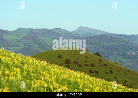 Eurasia, Caucasus region, Armenia, Tavush province, rural scenery Stock Photo