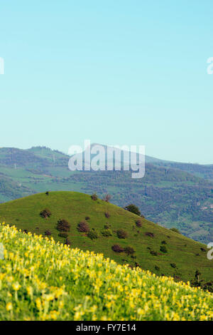 Eurasia, Caucasus region, Armenia, Tavush province, rural scenery Stock Photo