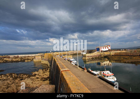 Summertime in St Abbs in Scotland, UK Stock Photo - Alamy