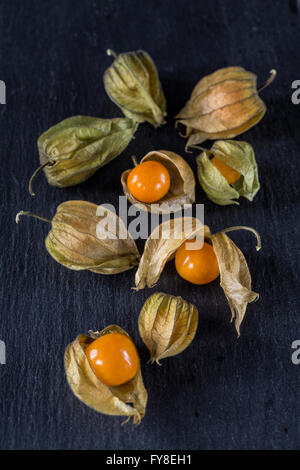 Physalis Cape Gooseberry's on a dark background Stock Photo