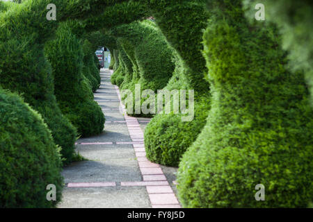 The Francisco Alvardo Park with its famous topiary in Zarcero, Costa Rica Stock Photo