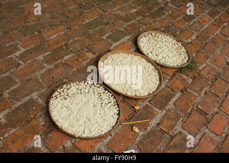Rice in three handwoven panels drying in the sun, Laos. Stock Photo