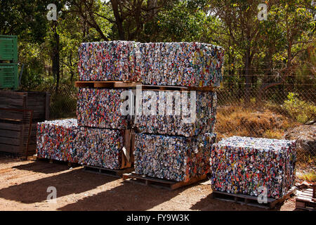 Crushed aluminum cans for recycling, Augusta Western Australia Stock Photo