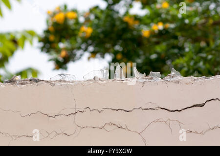 wall top covered with broken glass pieces Stock Photo