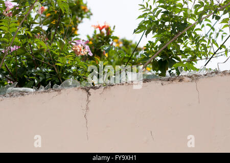 wall top covered with broken glass pieces Stock Photo