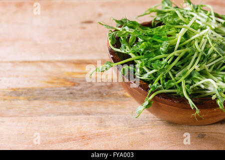Bowl of pea sprouts Stock Photo