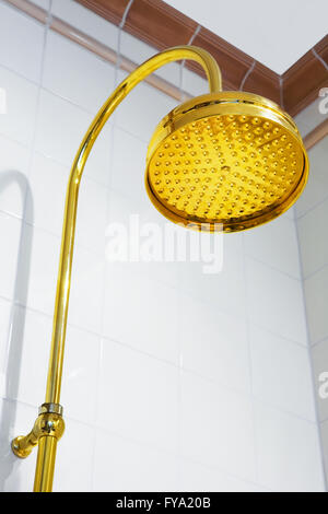 Beautiful and modern shower in a bathroom Stock Photo