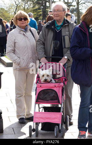 Pink dog stroller hi res stock photography and images Alamy