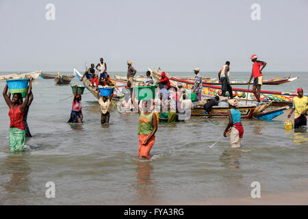 African women carrying buckets on their heads full of fishes from fishing boats in the sea, Gambia, Africa Stock Photo