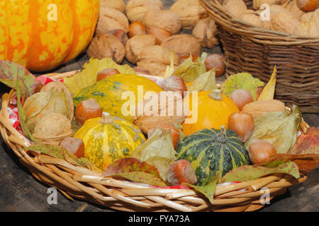 Basket with ornamental gourds, autumn leaves, various nuts and physalis on a rustic wooden board, Thanksgiving decoration Stock Photo