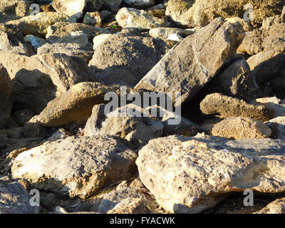 stones and rocks Stock Photo