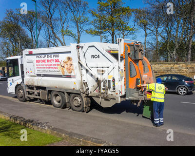 Man working at the rear of a waste disposal vehicle emptying a wheelie bin of household rubbish for recycling pick up dog poo Stock Photo