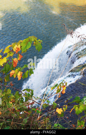 Middle Falls in Letchworth State Park, USA. The focus on the leaves Stock Photo