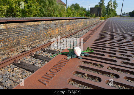 grunewald bahnhof berlin gleis deportation memorial track site mahnmal deutschland alamy