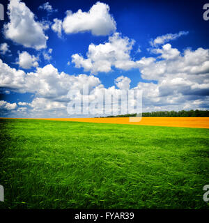 Beautiful Summer day on the green field against a dark blue sky. The image in the dark frame. Stock Photo
