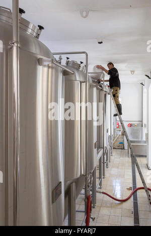 Brewer working in the Rise Brewery (Rise Bryggeri) on the Danish island of Aero, Denmark Stock Photo