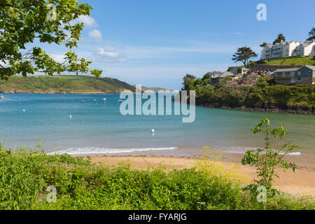 South sands beach Salcombe Devon UK one of several beautiful beaches in the estuary in summer Stock Photo