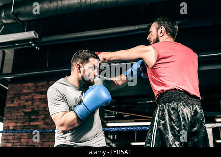 Two boxers train on the ring Stock Photo