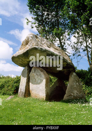 Looking NW at the burial chamber uprights and up under the capstone of Carreg Coetan Arthur Neolithic chambered tomb.Pembrokeshire, West Wales, UK Stock Photo