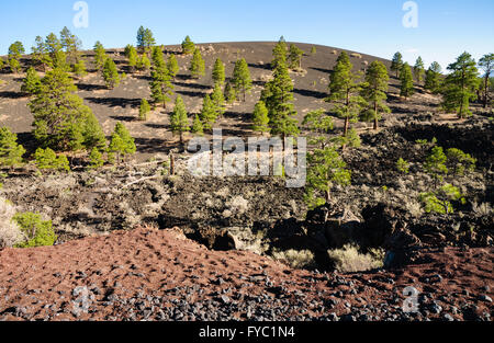 Sunset Crater National Monument Stock Photo