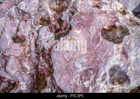 Pink pillow rock formed from volcanic lava on Llanddwyn Island, Anglesey, Wales. Stock Photo