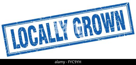 locally grown blue grunge square vintage rubber stamp Stock Vector ...