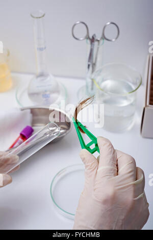 BIOLOGICAL SPECIMEN Stock Photo