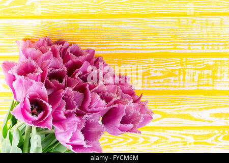 purple tulips on the yellow wooden background. Stock Photo