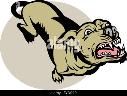 Angry Dog barking about to attack Stock Photo