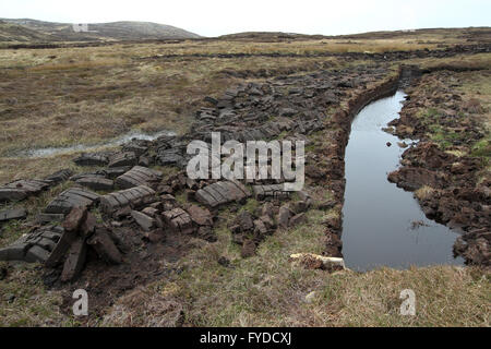 Hand-cut turf and peat sods alongside a watercourse in a peat bog on an Irish island, Arranmore off the coast of County Donegal, Ireland. Stock Photo