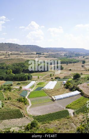 Cultivated land in a rural landscape Stock Photo