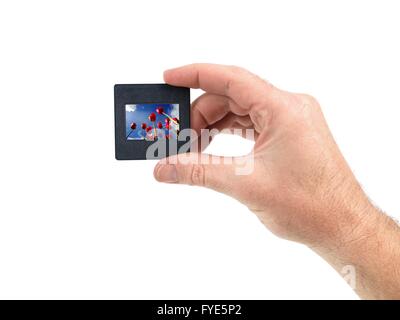 Photographic slides isolated against a white background