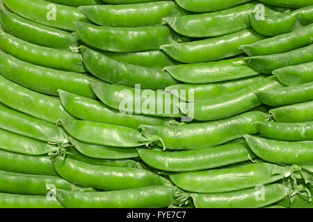 Young green pea pods Stock Photo