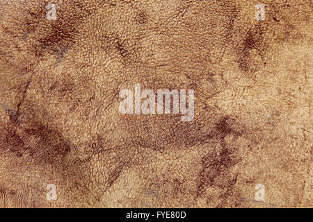 Artificial leather as a texture Stock Photo