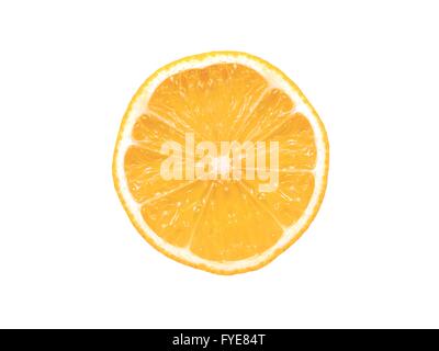 Slices of citrus fruit isolated against a white backgound Stock Photo ...