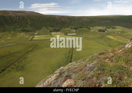 A farm near to Geysir geothermal area Stock Photo