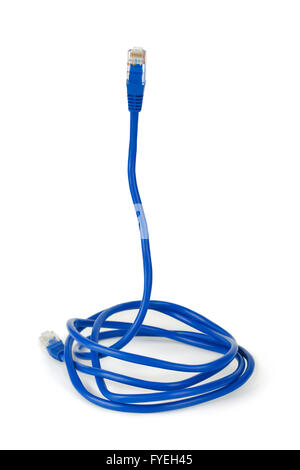 Computer cable like a snake - internet security concept Stock Photo